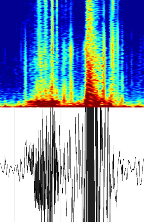 cough monitoring spectrogram - cough